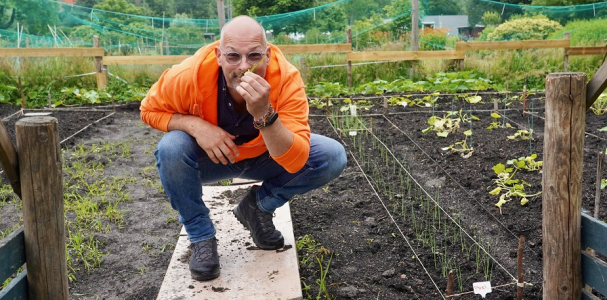 Voedseltuin Moerwijk