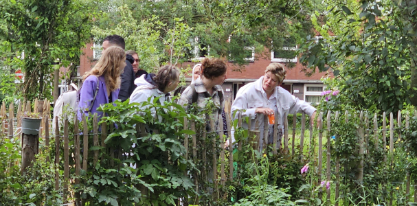 Wethouder Vavier bij de moestuin