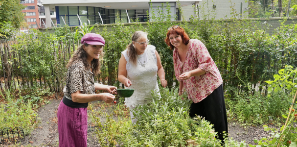 Drie dames in een moestuin