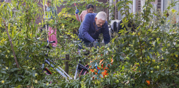 Opknappen tuinen Kom Loosduinen