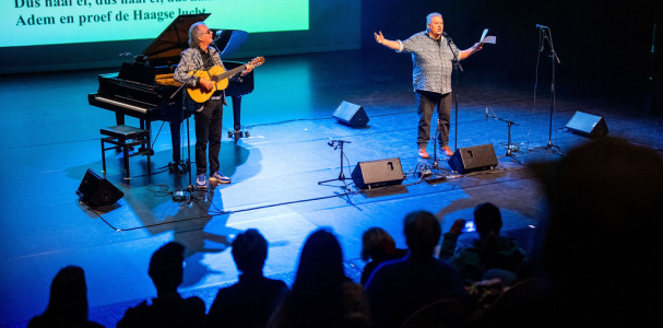 Theatershow in Segbroek