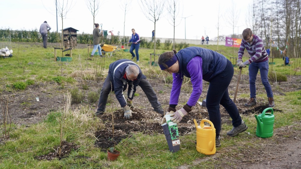 Voedselbos Mariahoeve planten