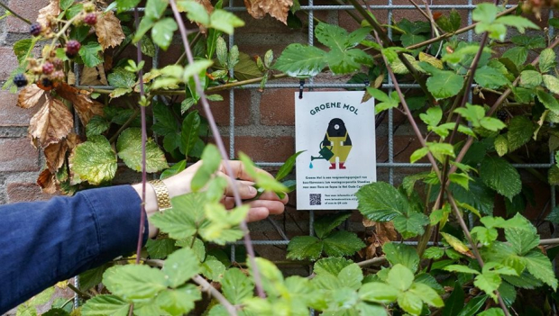 Staedion Groene Mol bordje