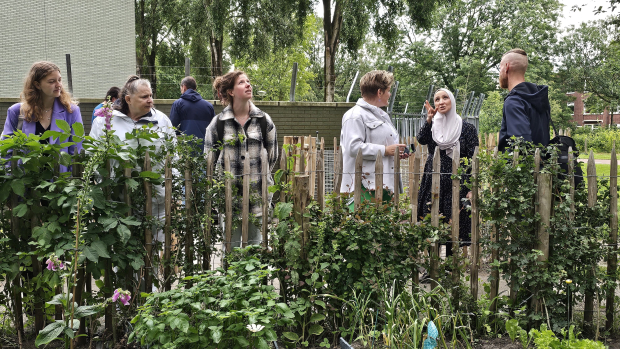 Wethouder Vavier, medewerkers Staedion en bewoners bij de moestuin