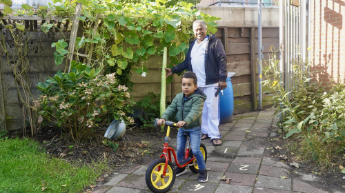 Sital planten