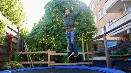 Sital planten