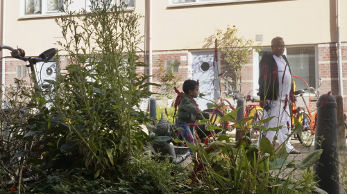 Sital planten