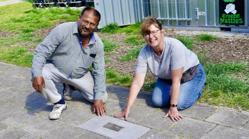 Groene matties in bouwlust en vrederust