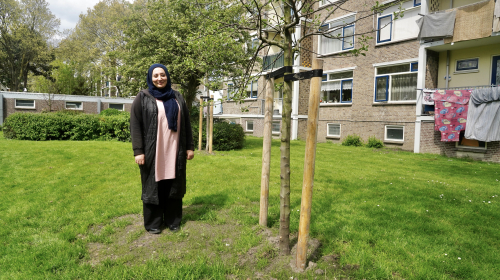 Leyla in de nieuwe binnentuin