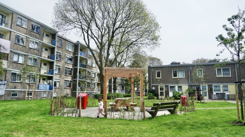 De nieuwe binnentuin met een grote boom in het midden