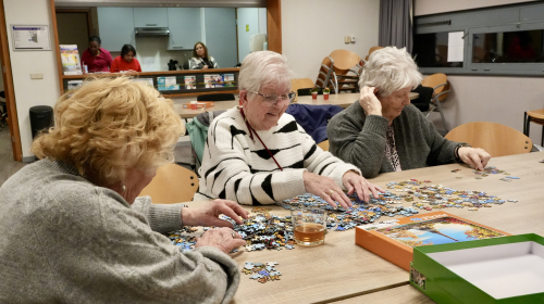 De dames zijn gezellig aan het puzzelen