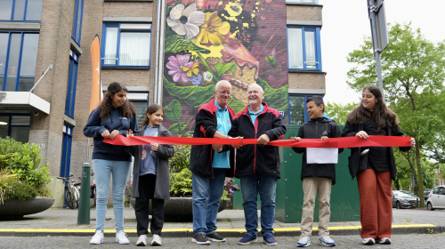 nthulling muurschildering Christiaan de Wetstraat in Transvaal