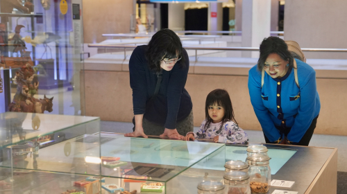 Denise en haar dochtertje werden uitgenodigd voor een middagje Museon door buurvrouw Shanti
