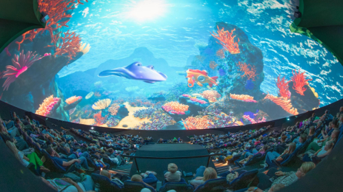 Film kijken op reuzenformaat in Omniversum