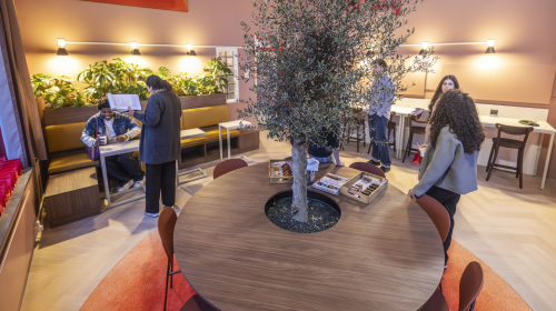 Opening studieruimte De Struyck met olijfboom in het midden