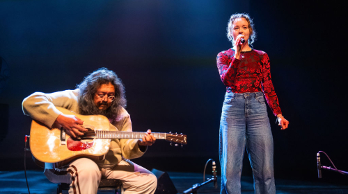 Theatershow in Segbroek optreden