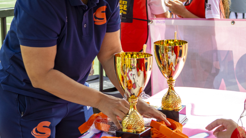 Een vrouw schildert een trofee tijdens het evenement 'Wereldwijk Schilderswijk'