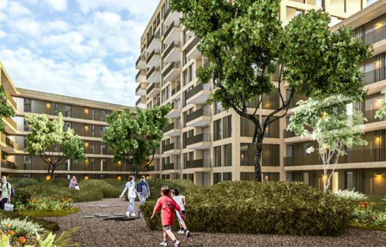 schaloen nieuwbouw