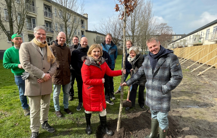 De ondertekenaars planten een boom