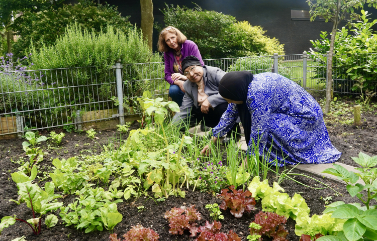 Drie dames aan het werk in de moestuin Middenstede