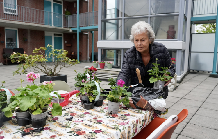 Mevrouw in de gezamenlijke tuin aan het werk met plantjes en bloemen.