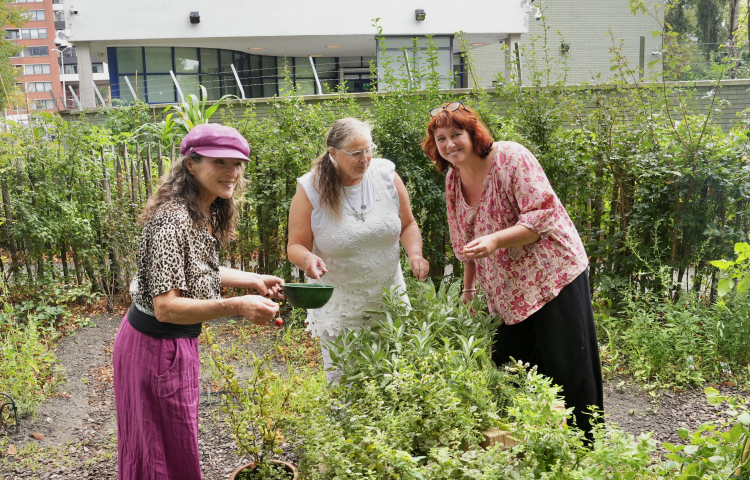 Drie dames in een moestuin