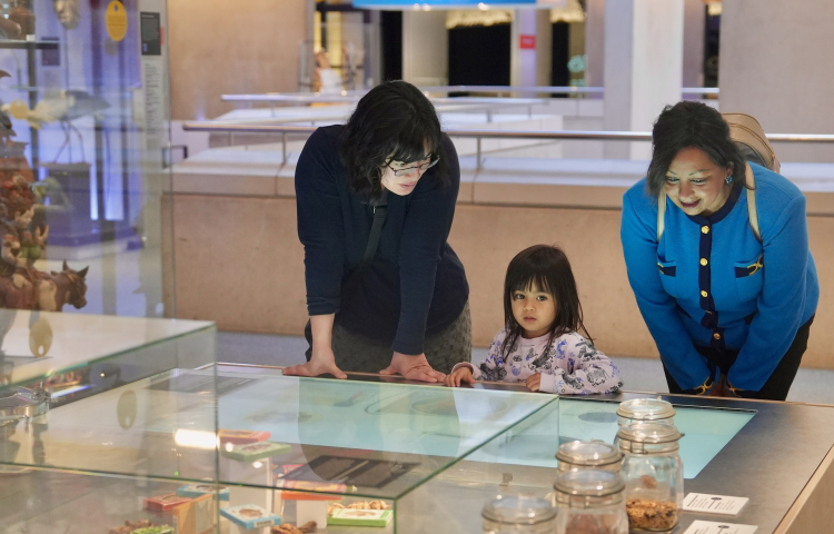 Bewoners bekijken een tentoonstelling in het Museon