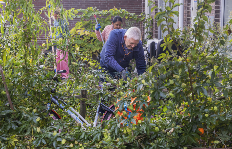 Opknappen tuinen Kom Loosduinen