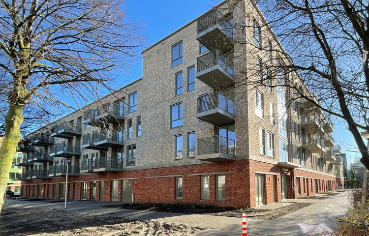 Nieuwbouw Steenzicht