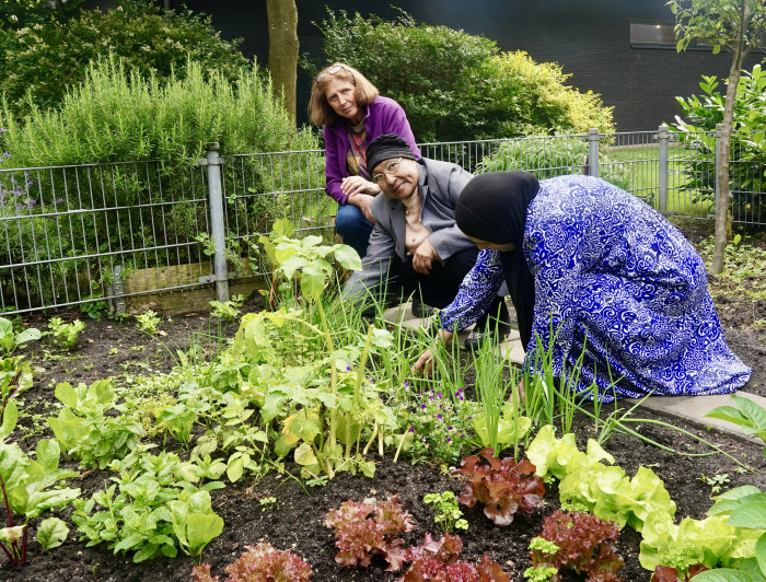 Drie dames aan het werk in de moestuin Middenstede