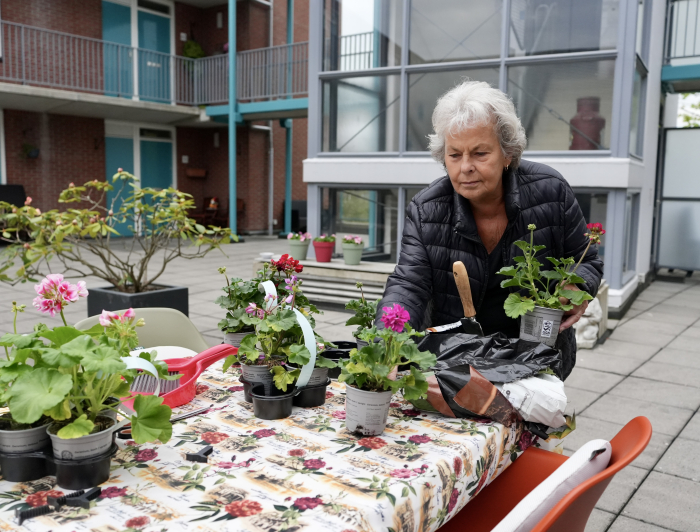 Mevrouw in de gezamenlijke tuin aan het werk met plantjes en bloemen.
