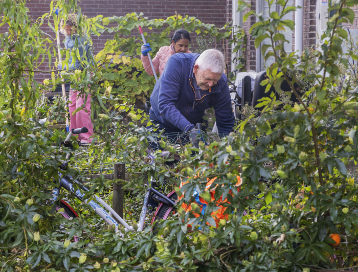 Opknappen tuinen Kom Loosduinen